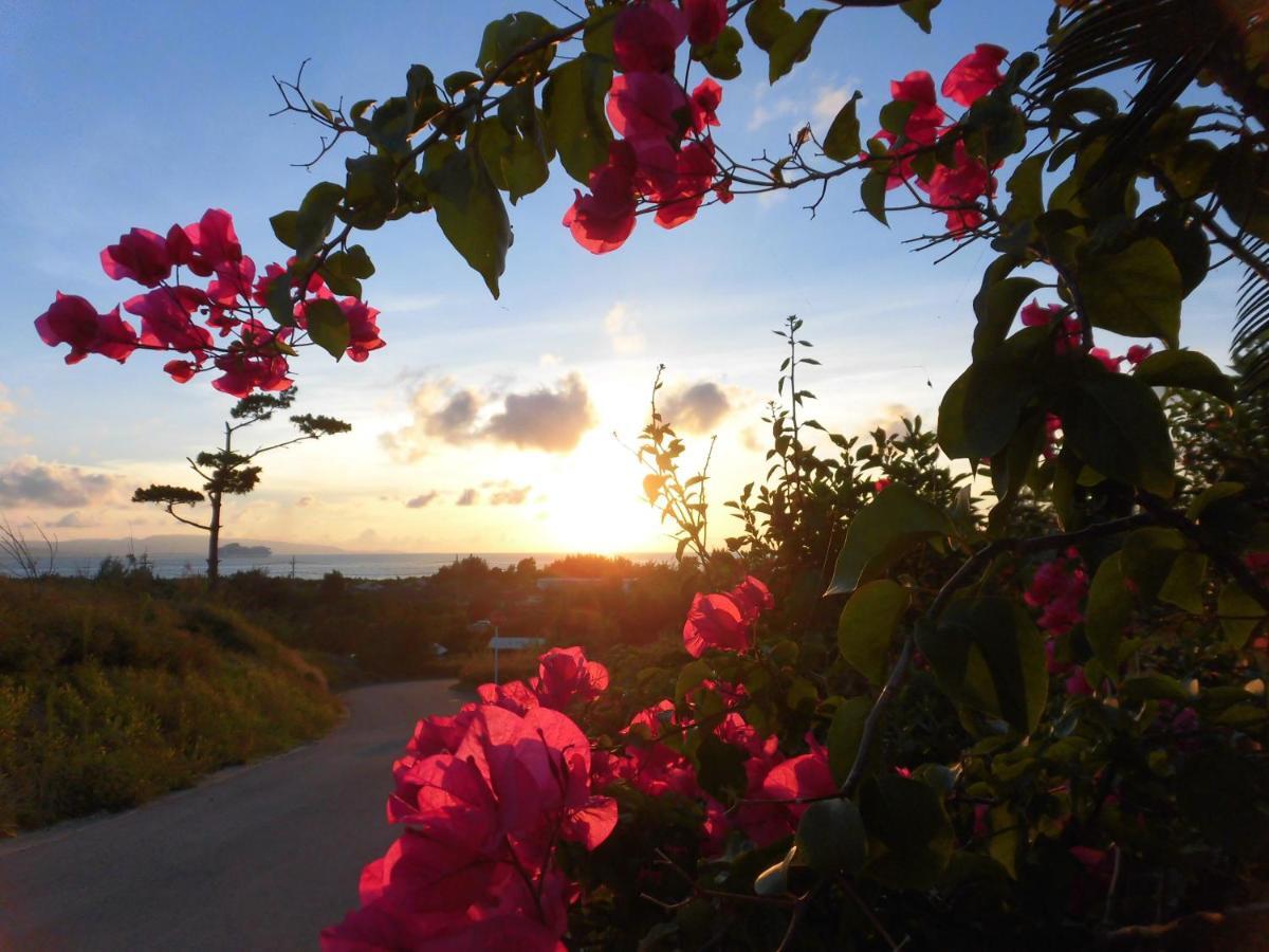 Sakura Resort Hotel Ishigaki Ishigaki  Экстерьер фото